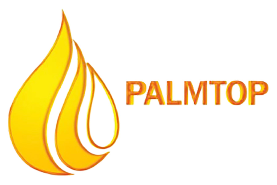 Palmtop