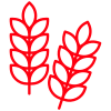 Icons8 grains