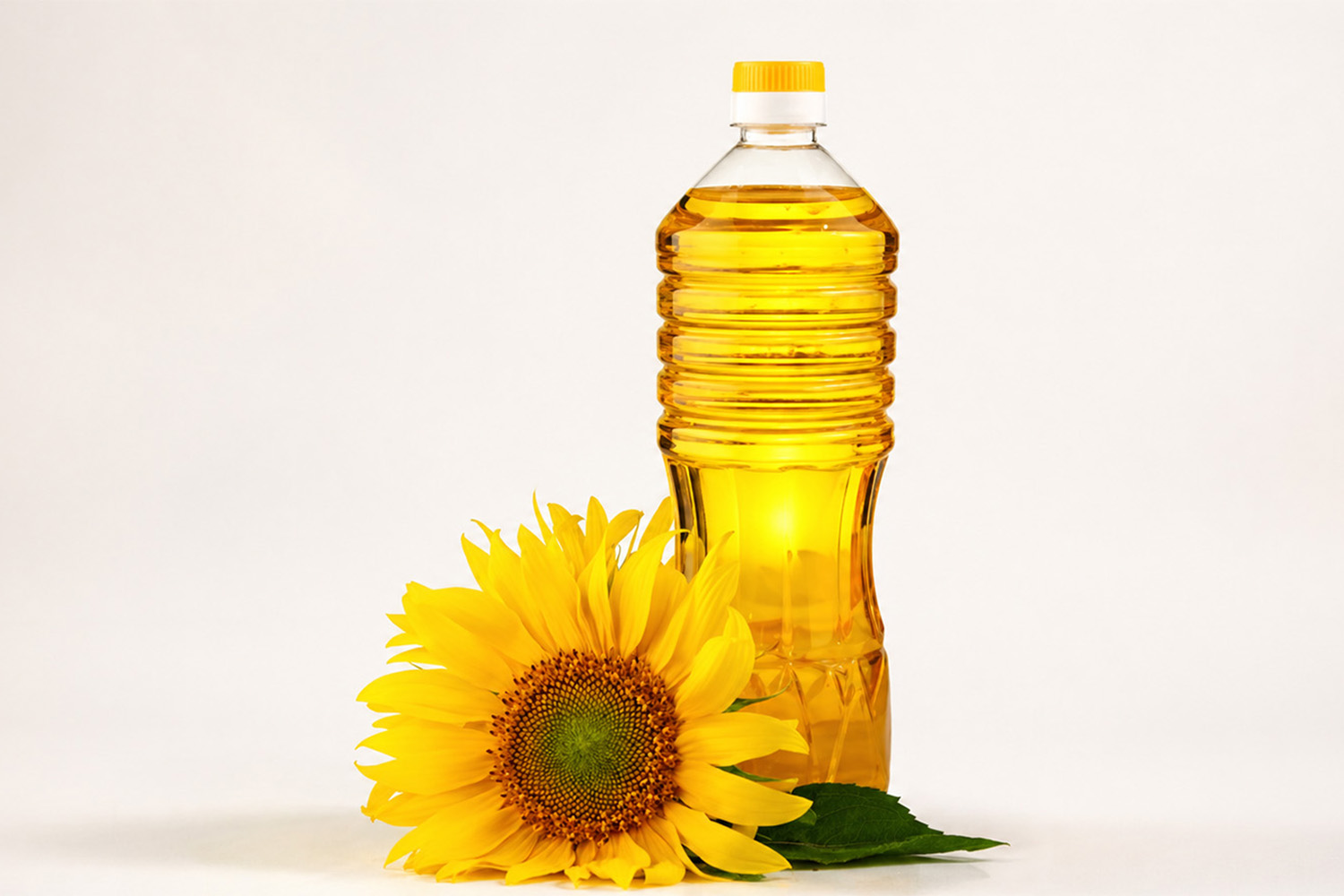 Sunflower oil